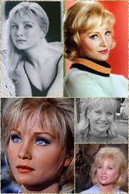 Parrish and Susan Slade movie summary