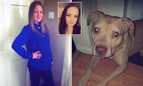 Furry wolf furry art anime wolf drawing wolf character demon wolf wolf. Dog That Mauled Its Owner 25 To Death Had Attacked Other Pets Near Her Home Neighbours Reveal Daily Mail Online