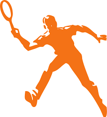 The tennis racket theorem or intermediate axis theorem is a result in classical mechanics describing the movement of a rigid body with three distinct principal moments of inertia. à¸™ à¸à¹€à¸—à¸™à¸™ à¸ª à¹€à¸—à¸™à¸™ à¸ª à¸à¸£à¸²à¸Ÿ à¸à¹à¸šà¸šà¹€à¸§à¸à¹€à¸•à¸­à¸£ à¸Ÿà¸£ à¸šà¸™ Pixabay