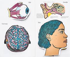 Le corps à découvert: 15 suggestions de lecture jeunesse