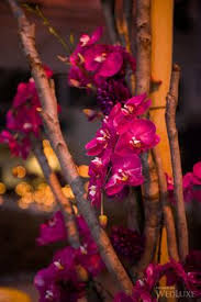 51 More Frank Rea Designs ideas