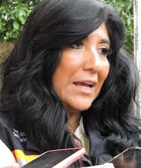 Canalizarán 100 mdp a San Juan