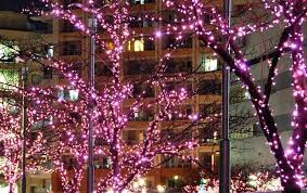 Maybe you would like to learn more about one of these? Pin On Christmas
