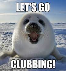 Let S Go Clubbing Easily Pleased Seal Quickmeme