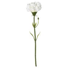 Find & download the most popular flower photos on freepik free for commercial use high quality images over 9 million stock photos. Smycka Artificial Flower Carnation White 30 Cm Ikea