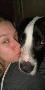 Support and Condolences for Loss of a Beloved Pet