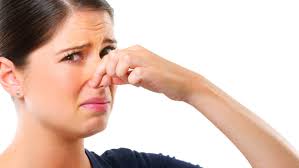 TORNA LA PUZZA: E 5 CONSIGLIERI DI MINORANZA CHIEDONO DI ACCERTARNE  L'ORIGINE