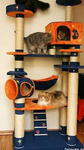 Camas para gatos de todo tipo, las mejores camas para gatos a los mejores precios. Casas Para Gatos Reviews Facebook