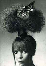 Bird With Crazy Hair On Head Miss Tree Crazy Hair Bird Nest Hair High Fashion Hair