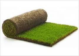 Hazır rulo çim ile çimlendirme, ekonomik, kaliteli, ve kolay bir çimlendirme yöntemidir. Rulo Cim Koctas Rulo Cim Istanbul Rulo Cim Fiyatlari Catalca Rulo Cim Fiyatlari Buyukcekmece Rulo Cim Sakarya Rulo Cim Cesitleri Rulo Cim Nasil Yetistirilir Rulo Cim Silivri Akbayrak Peyzaj