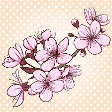 Oriental Cherry Stock Illustrations Cliparts And Royalty Free Oriental Cherry Vectors Cherry Blossom Drawing Cherry Blossom Vector Cherry Blossom Art
