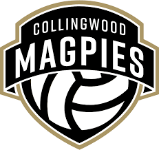 Neither this nor any associated page has been authorised or approved by the collingwood football club or the australian football league. Collingwood Magpies Netball Logopedia Fandom