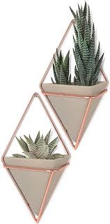 Amazon Com Umbra Trigg Hanging Planter Wall Decor Set For Displaying Small Plants Pens And Penci Rose Gold Room Decor Rose Gold Bedroom Geometric Wall Decor