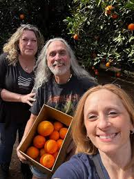 Magnolia Grove of San Tan Valley