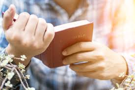 Image result for Essential Beliefs of Christianity Images bible