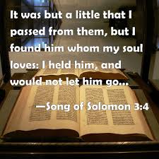 Love between a man and a woman. Song Of Solomon 3 4 It Was But A Little That I Passed From Them But I Found Him Whom My Soul Loves I Held Him And Would Not Let Him Go Until