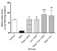 In reply to ukc/ukh gear: Materials Free Full Text Action Mechanisms Of Curcumin In Alzheimer S Disease And Its Brain Targeted Delivery Html