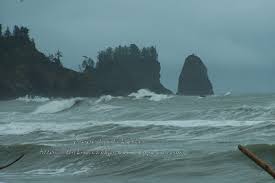 Forks And The West End Olympic Peninsula Washington Us