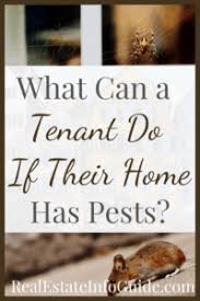 In this article, we will cover: Are Landlords Responsible For Pest Control Real Estate Info Guide
