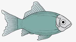 Tahap ini sangat penting karena nila dapat. Generic Blue Fish Vector Illustration Fish Clip Art Hd Png Download Transparent Png Image Pngitem