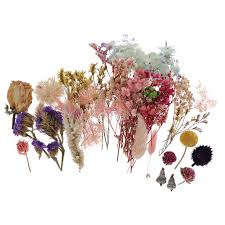 16 styles real dried flowers epoxy resin fillings dry plants for aromatherapy candle silicone filler diy jewelry making supplies. Multi Dried Flowers Dried Flower Kit Candle Making Soap Making Food Grade Pink Rose Lavender Rose Leaf Artificial Dried Flowers Aliexpress