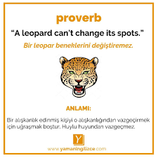 Proverb Atasozu En A Leopard Can T Change Its Spots Tr Bir Leopar Beneklerini Degistiremez Anlami Bir Aliskanlik Edinmis Atasozleri Ingilizce Leopar