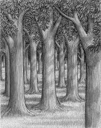 Trees Ink Rhythm Forest Drawing Tree Drawings Pencil Tree Drawing