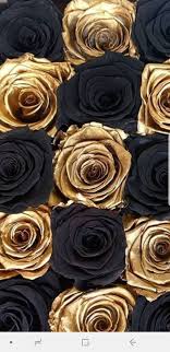 Black And Rose Gold Background Hd Pin On Negro Y Oro