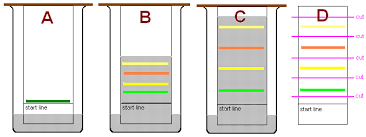 paper chromatography separating coloured substances dyes gas