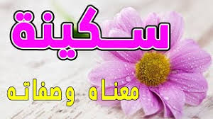 Jason longfield wakes up in a strange forest. Grape Dripping Sober Ù…Ø¹Ù†Ù‰ Ø§Ø³Ù… Ø³ÙƒÙŠÙ†Ø© Ø¨Ø§Ù„Ø¹Ø±Ø¨ÙŠØ© Mightytomcatband Com