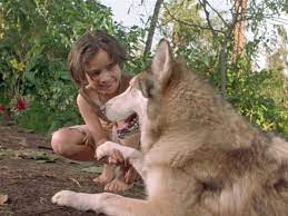 Was mowgli supposed to be big enough to surround the entire circle of flames? The Jungle Book Mowgli S Story Netflix Movie Onnetflix Nz