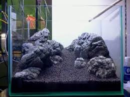 Hei teman vidio x ini membahas tentang batu batu aquascape semoga berguna :)batu support 1k subscriber thenks yang udah nonton vidio inijika kalian suka sil. 15 Ide Batu Hias Hardscape Untuk Aquascape Iwagumi Aquascaping Fosil Lava