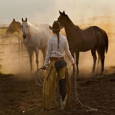 Whos The Boss By Robert Dawson In 2020 Horses Rodeo Life Ranch Life