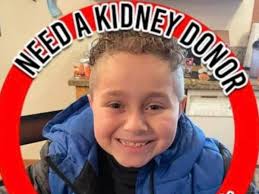 Fundraiser for Shanel Fish by Shannon Fish : Help for Jayden (JJ)