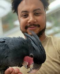 Anton Morrison (@antonswildlife) · Instagram photos and videos