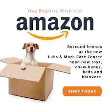 Maybe you would like to learn more about one of these? Labs And More Adopt A Rescue Dog Or Puppy Today