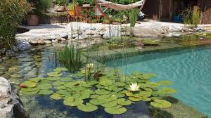 Der garten ist ein ort der entspannung und mit einem pool schaffen sie zusätzlich einen raum für aktive erholung, wellness und geselligkeit. Schwimmteich Im Eigenen Garten Pool For Nature