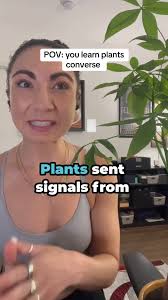 Plants engage in a wide range of communication that triggers defensive  behaviors.🌱 They signal to other plants about predators. Responses to  danger can include secreting poison against insect attacks. ...