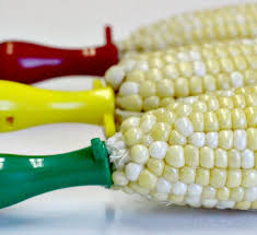 Indian corn activities and crafts for preschoolers. Corn Painting Is A Fun Easy Process Art Activity For Kids Fun A Day