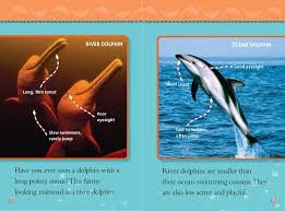 We did not find results for: River Dolphins And Ocean Dolphins National Geographic Society