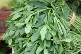 Wash the leaf thoroughly and change the. Water Leaf Gomarket