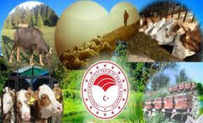 giresun kerasus haber adli kullanicinin haberler panosundaki pin 2020 haber