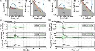 The information provided in dosage (posology) and method of administration of shan su is based on. Frontiers Long Lasting Event Related Beta Synchronizations Of Electroencephalographic Activity In Response To Support Surface Perturbations During Upright Stance A Pilot Study Associating Beta Rebound And Active Monitoring In The Intermittent