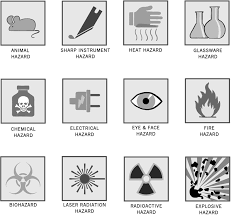 How much do you know about atomic structure and the periodic table of elements? Https Www Sfdr Cisd Org Media 7750 Sfdrcisd 8th Grade Science B V2 Wt0 S1 Pdf