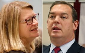 In blue-leaning district, Karen McMahon seeks to oust GOP Assemblyman Ray  Walter