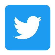 Twitterのロゴをダウンロードする方法 - 利用規約も日本語訳で解説 | マイナビニュース