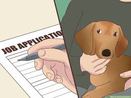Use your mouse or mouse pad to paint nails. 5 Ways To Overcome Boredom Wikihow Life