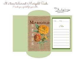 Marigold Seed Packet Flower Seeds Packets Seed Packet Template Mini Envelopes Template