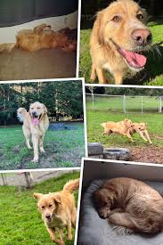 My son, Joshua, and baby Milo ￼ PURE JOY Paula Benard Cailey Avila