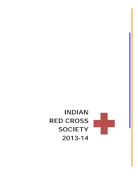 Road safety pledge in hindi docx. Http Data Api Ifrc Org Documents In Ar India 2013 English Pdf